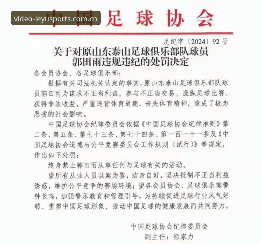 乐鱼体育APP好用吗 中国足协第三批禁足名单全面解析:17人终身禁赛背后的深层博弈